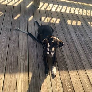 Meet your Posher, Mariah